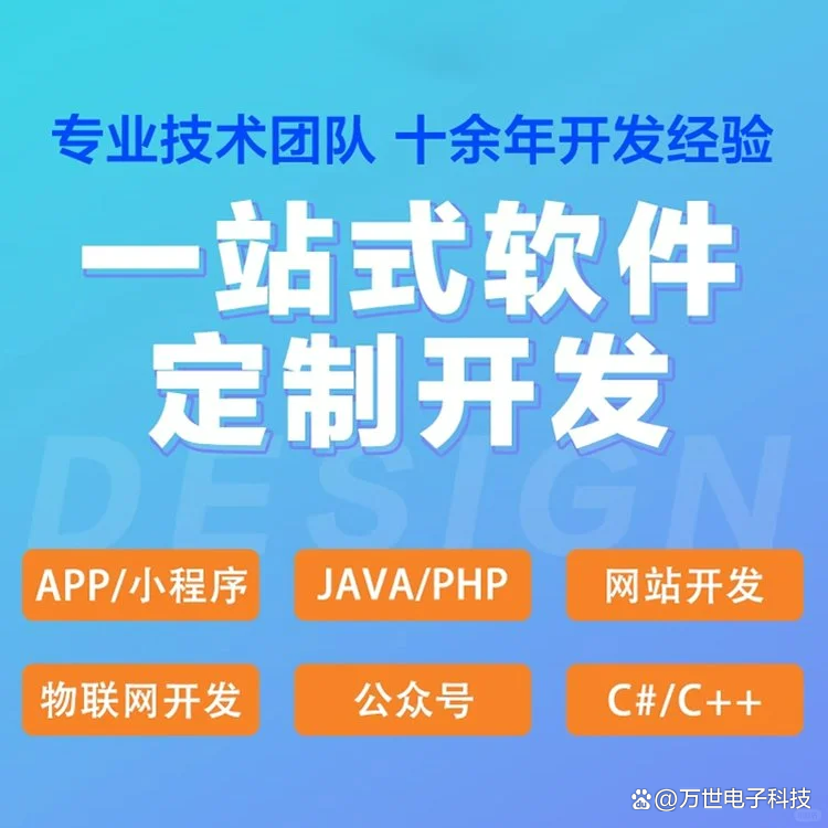 林芝软件开发
